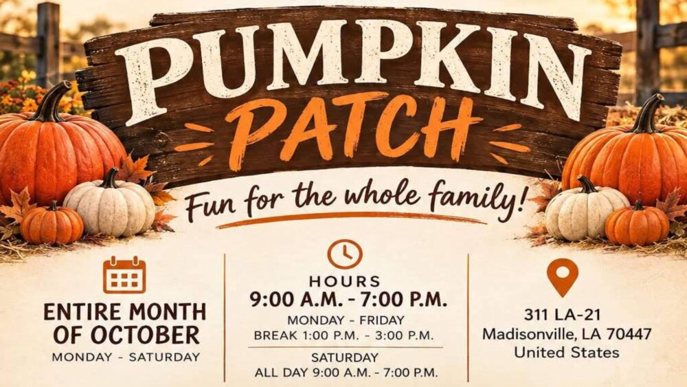 Pumpkin Patch Pumpkin Patch